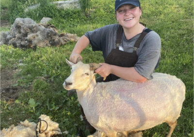 Katya shearing sheep