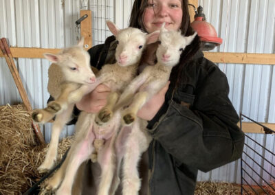 Katya with lambs